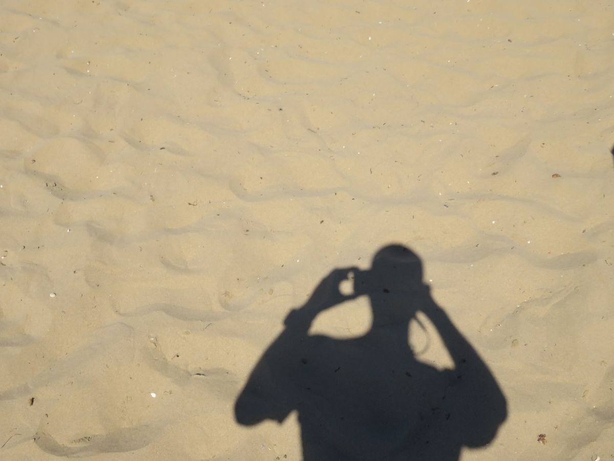 imagini hotel PALOMA OCEANA